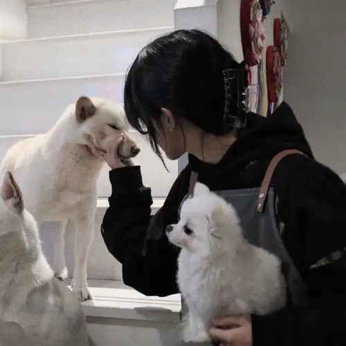 有没有一些有人有猫的女生头像
