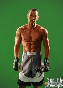 彭于晏黄晓明李晨这些男神有颜且还有肌
