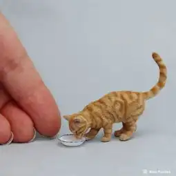 国外网友用猫的毛做了只小猫,真的超治愈
