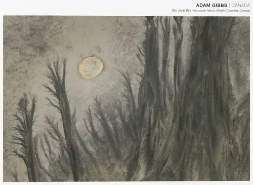 这个比赛,选出了2018年最好看的101张自然风光照片
