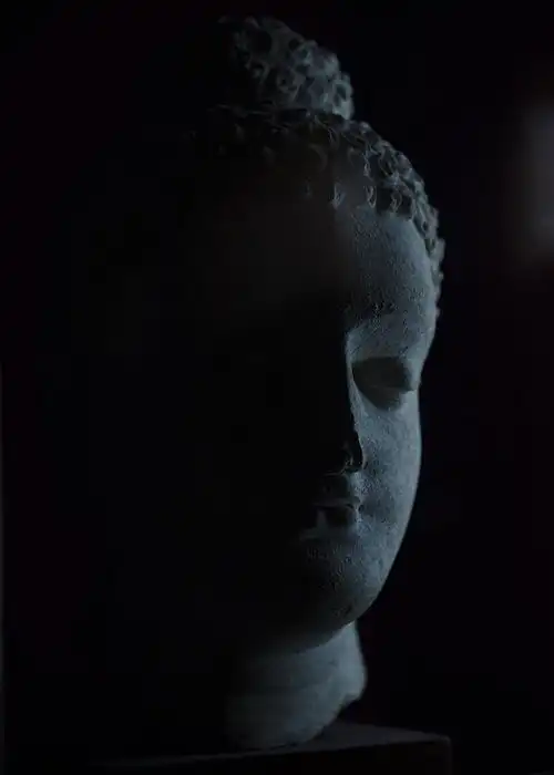 是的,他们去了巴基斯坦,带回一串照片故事
