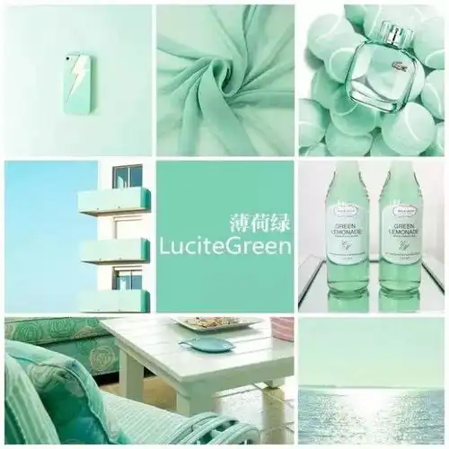 2020年c位时尚色的薄荷绿,从治愈身体到治愈精神,时髦穿搭学起
