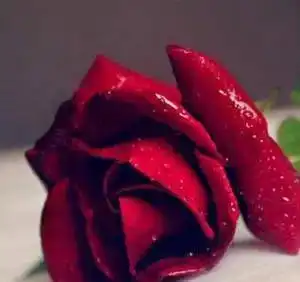 选择哪张图做头像,就代表什么性格类型,不信对照看看
