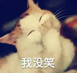 1美元哥终于有了后续......简直自带音效身残志坚
