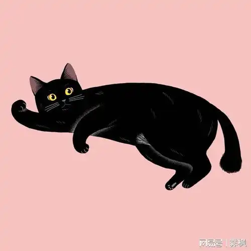 胖猫猫壁纸和头像
