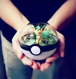手工制作的宠物小精灵玻璃球微观
