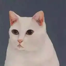 朋友圈背景图之为什么一定要让配张图
