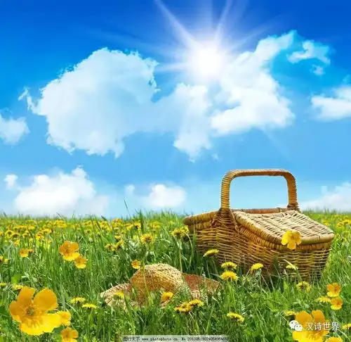 蝴蝶效应作者李治
