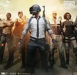 绝地求生国际版手游更新,新宣传片却使用端游镜头,引网友不满
