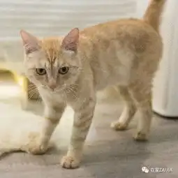 35㎡采光困难老平房,独立卧室卫生间,住得比公寓还舒服
