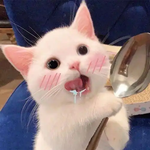 云阳面馆合集,看看有没有你喜欢的,欢迎推荐
