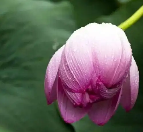 44条成年人社交潜规则
