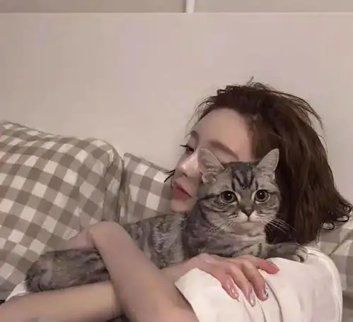 这个地方又又双叒叕火了太原之巅邀你一起撸猫啦
