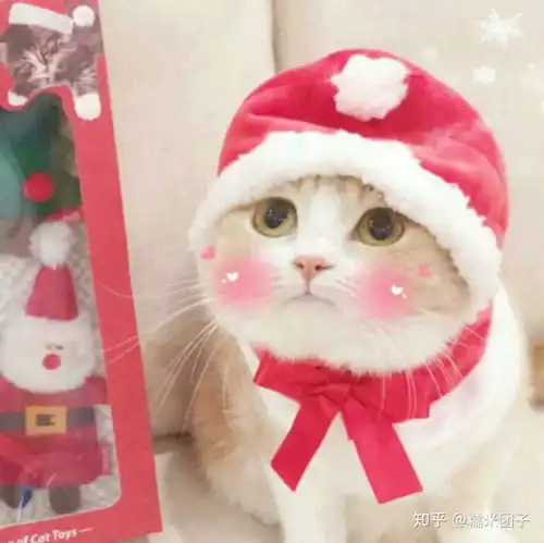 有和这样类似的冬日主题的情侣头像吗
