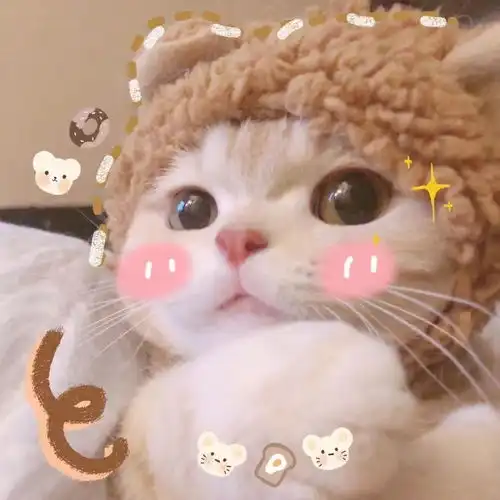 你买房亏了多少
