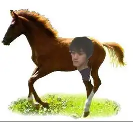 怎样把两张图片合成一张
