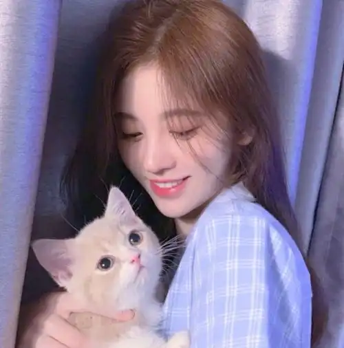 写在随心贴上的温柔励志文案
