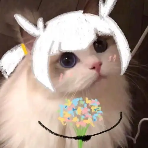 猫咪光遇头像
