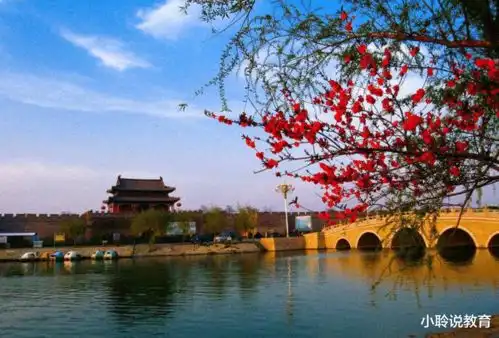 河南商丘成绩最好的3所高中其中1所在县城,700分以上3人
