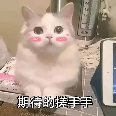 一位慢性乙肝表面抗原携带者的治愈之旅
