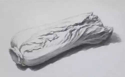 静物素描蔬菜篇之大白菜画法及步骤讲解
