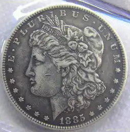 外来客美国头像
