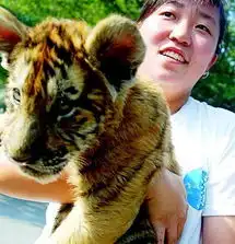 26岁女孩搂着老虎睡大觉猛兽让其找到如意郎君
