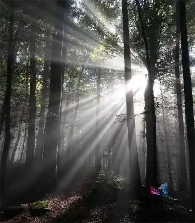 为什么有些人总换微信头像原来背后藏着这些秘密
