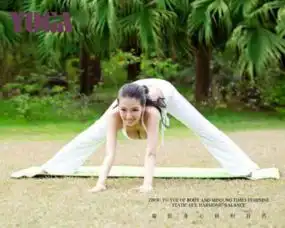 横款30寸水晶拉米娜木版画微商
