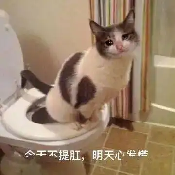 再说撕烂你狗嘴第261期喵表情粉丝投稿
