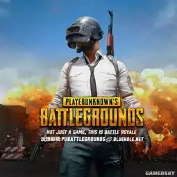 意外国服绝地求生上线日期曝光,玩家无需多等
