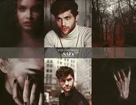 照片转暗冷色艺术效果psd调色图层下载列表ps教程网
