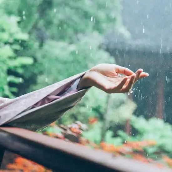 所有的遇见,都是一场命中注定
