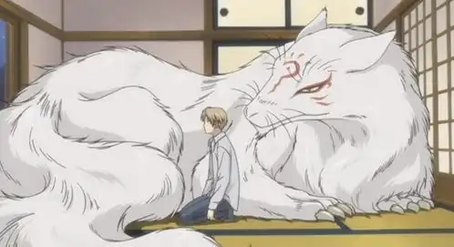 夏目友人帐不可呼唤,猫咪老师竟然还有这么可靠的时候
