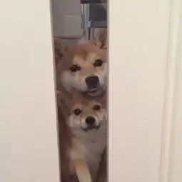 背景图你听过最渣的一句话是什么
