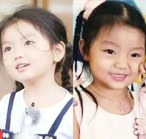 娱乐圈5对撞脸明星图2同脸也同姓,图5像是失散多年的姐妹
