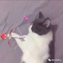 朋友圈治愈情话之190419
