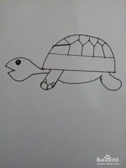简笔画可爱的乌龟
