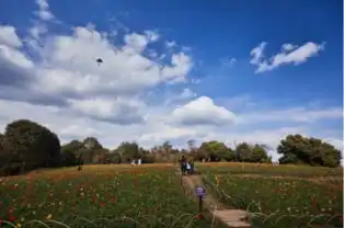石象湖花漾生活亲子瑜伽课堂即将开启期待热爱瑜伽热爱生活的你
