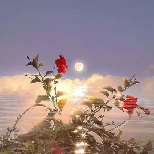 关于黄昏的文案希望你的希望有希望.
