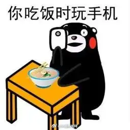 年轻人为何不愿睡觉拖延时间主要用于玩手机追剧
