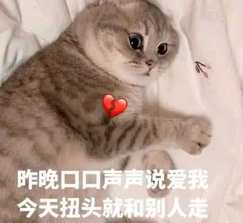 表情包我是要学就学一天的人
