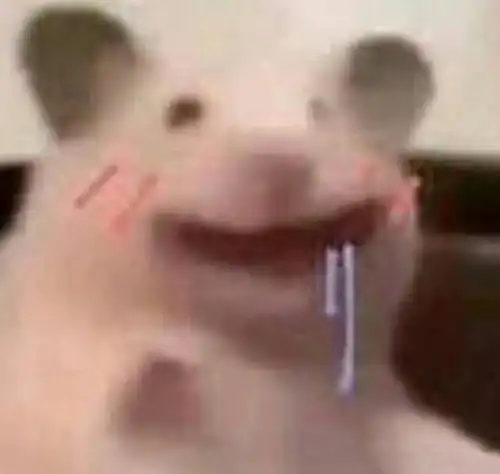 一看就是大聪明的表情包
