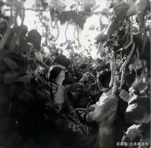 60年代鄂尔多斯一组旧照首曝光每一张都是一个动人的故事
