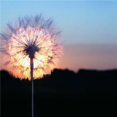 伤感的文案配图,简短虐心,看一次哭一次
