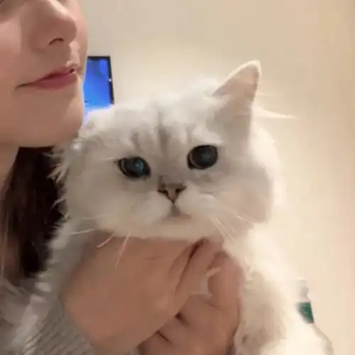 情侣头像你听过最温柔可爱的话是什么
