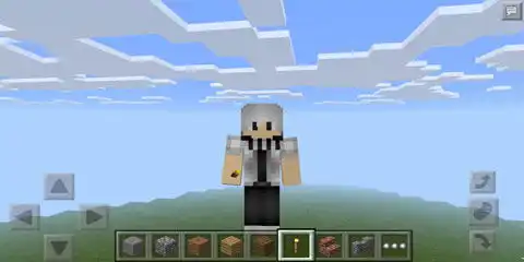 我的世界灰白色少年皮肤白灵
