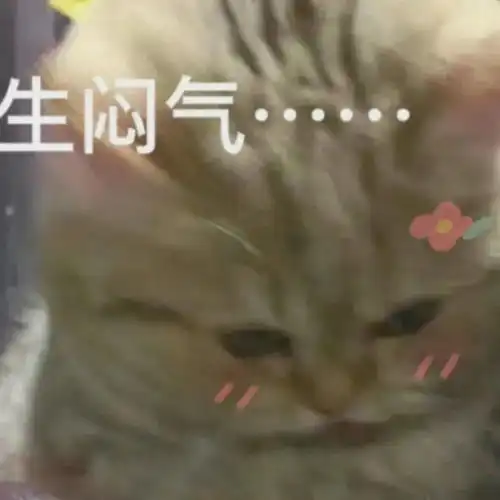 一看就有病的表情包1.17
