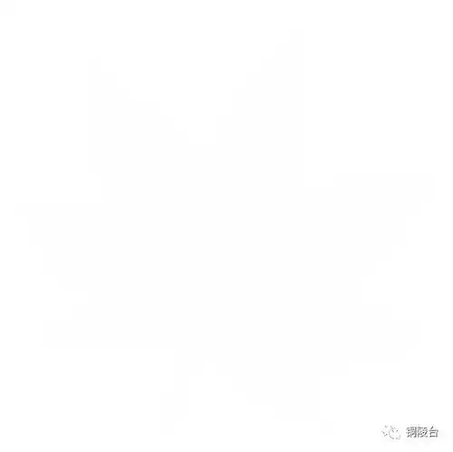 第六届铜都十大女杰闪亮登场
