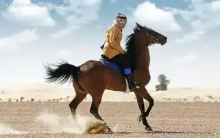 国民老公在世界老公面前被秒得渣都不剩
